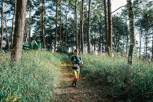 BIB: 
                            <button type="button" onclick="openModal(25659439)" class="btn btn-primary btn-sm float-right btn-popup" data-toggle="modal" data-target=".modal-high-quality">
                        <i class="fas fa-shopping-cart"></i> Add to Cart
                    </button>
                                            <button type="button" onclick="isThisMe(25659439, true)" class="btn btn-success btn-sm float-right btn-popup btn-isme hidden" data-toggle="tooltip" data-placement="bottom" title="นี่คือรูปของคุณใช่ไหม คลิกที่นี่เพื่อเอาเข้าอัลบั้ม">
                        <i class="fas fa-plus"></i> Add to album
                    </button>
                    <button type="button" onclick="isThisMe(25659439, false)" class="btn btn-warning btn-sm float-right btn-popup btn-isnotme hidden">
                        <i class="fas fa-ban"></i> Remove from album
                    </button>